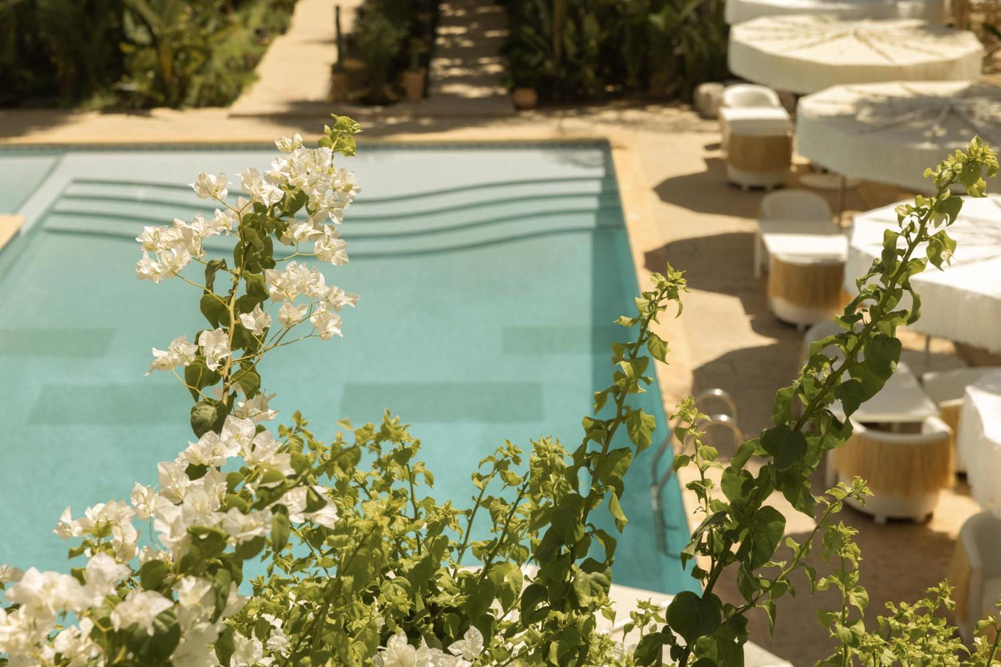 Les Palmiers Boutique Hotel & Spa Marrakesh Buitenkant foto